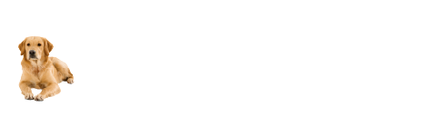 Davidwilson